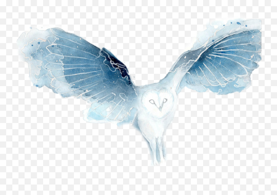 Download Transparent Owl Flying Png - Watercolor Galaxy Owl Galaxy Owl Watercolor,Flying Png