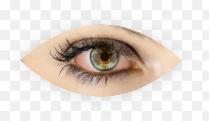 Dry Eyes - Eye Png,Eyelid Png
