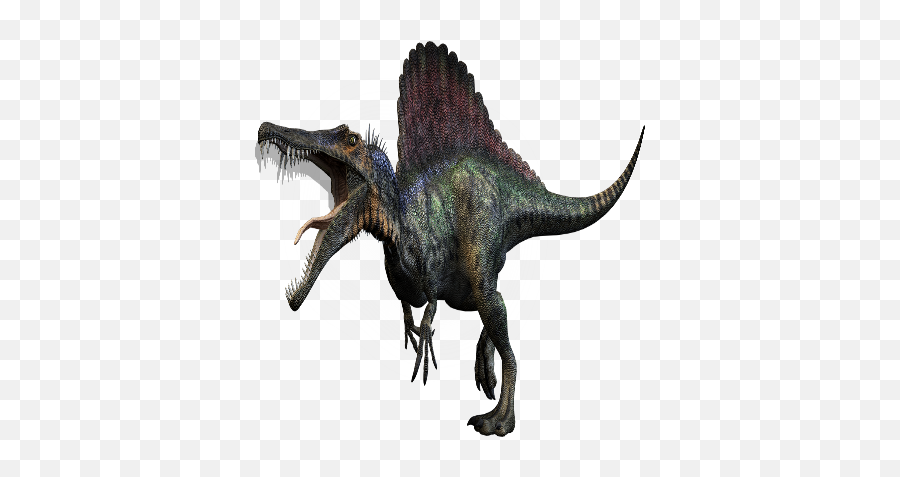Download Spinosaurus - T Rex Spinosaurus Dinosaurs Png Image Spinosaurus With No Background,Spinosaurus Png