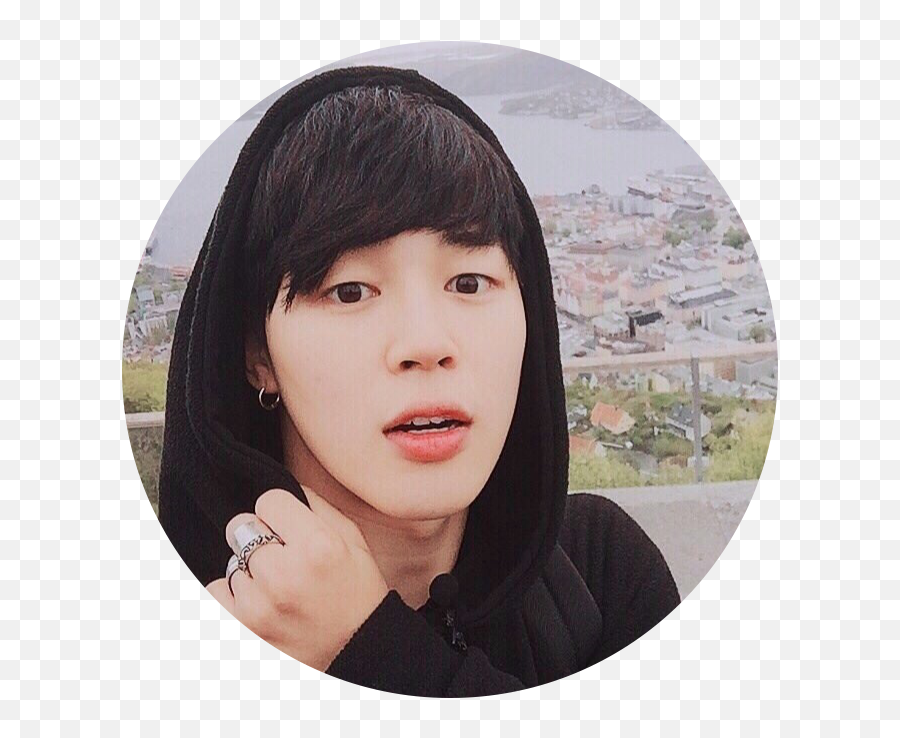 Cute Icons Wig Bts Jimin Park Guys Hair Toupee - Jimin Png,Jimin Png