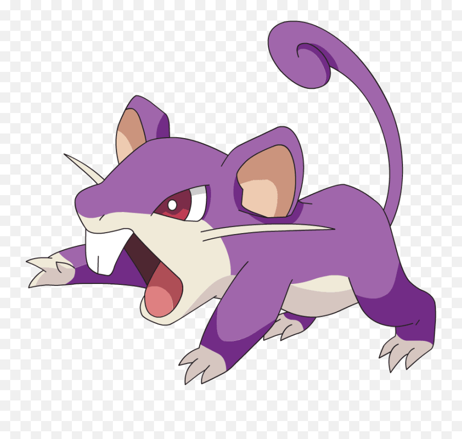 Detail - Pokemon Rattata Png,Rattata Png