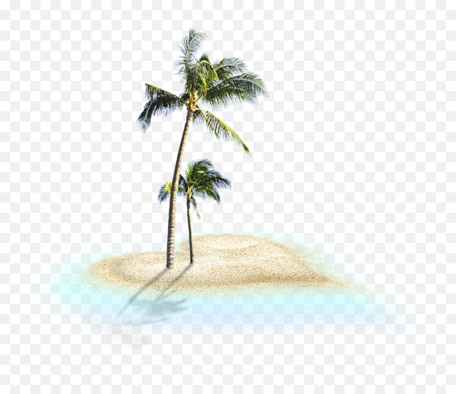 Download Coconut Trees Png Image For Free - Portable Network Graphics,Palm Trees Png
