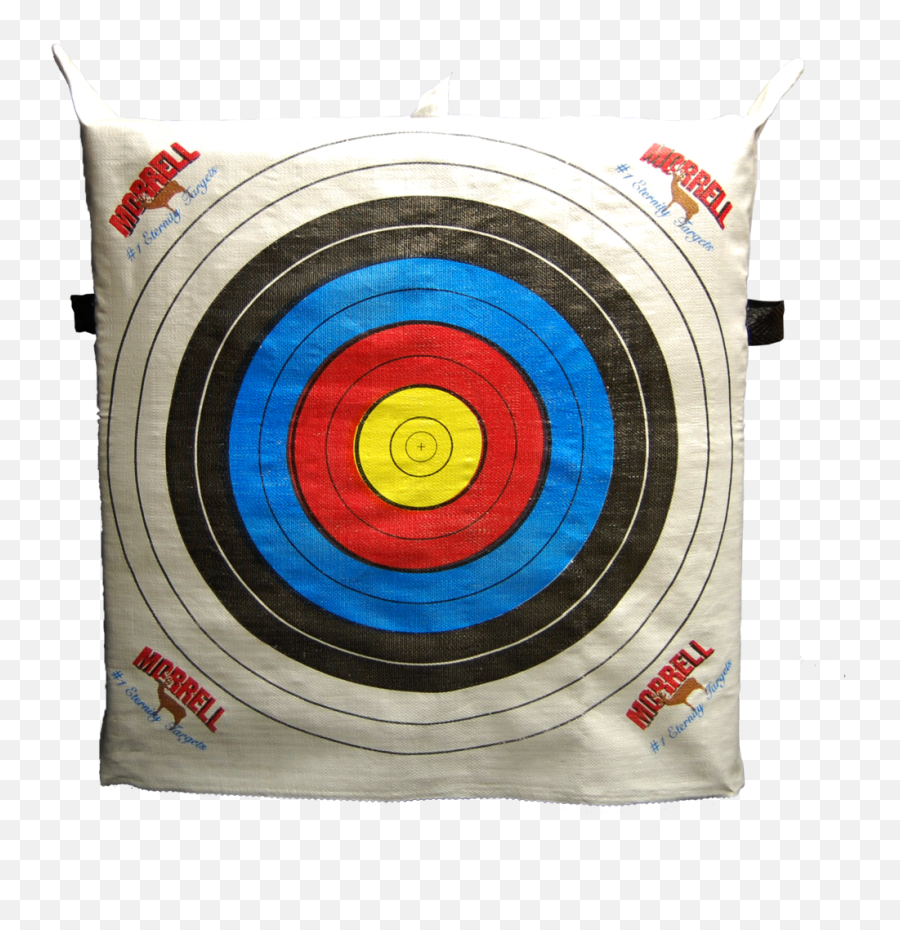 Download Official Nasp Eternity School Archery Target - Hammersmith Png,Archery Png