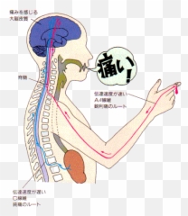 Language Png