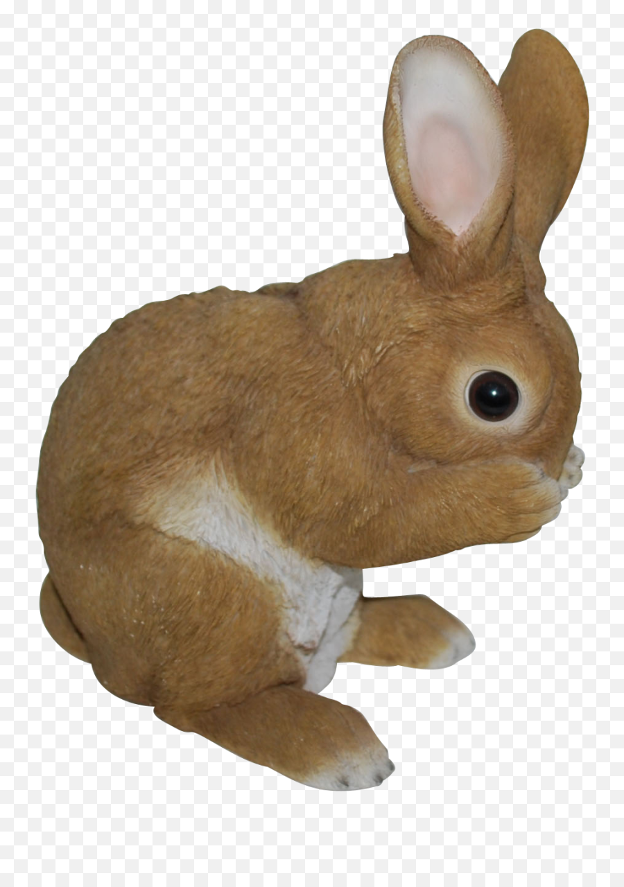 Baby Rabbit Png Picture 403820 - Vivid Arts,Peter Rabbit Png