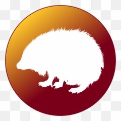 Mammals Ii Marsupials U2013 Veterinary Preventive Medicine - Clip Art png