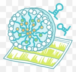 Rna Biofunction Laboratory Graduate School Frontier - Dot png