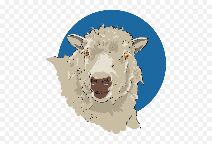 Filesheep Closeup 03svg - Wikimedia Commons Sheep Face Png,Lamb Icon