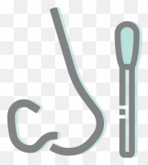 Covid - 19 u2013 MHC Healthcare Language png