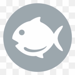 Our Menu Beehive Kitchen - Fish png