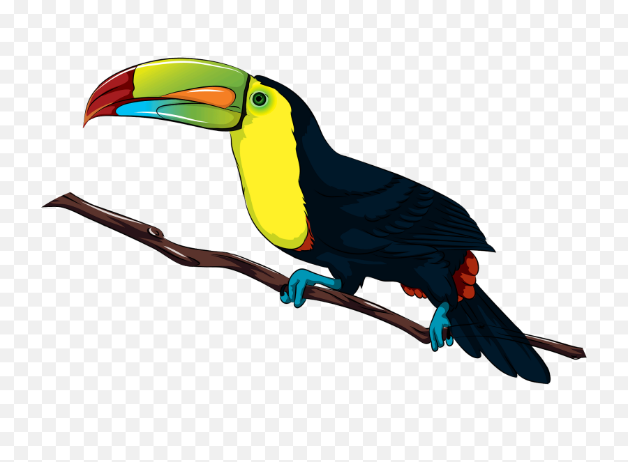 Toucan Clipart Free Download Creazilla - Keel Billed Toucan Png,Tucan Png