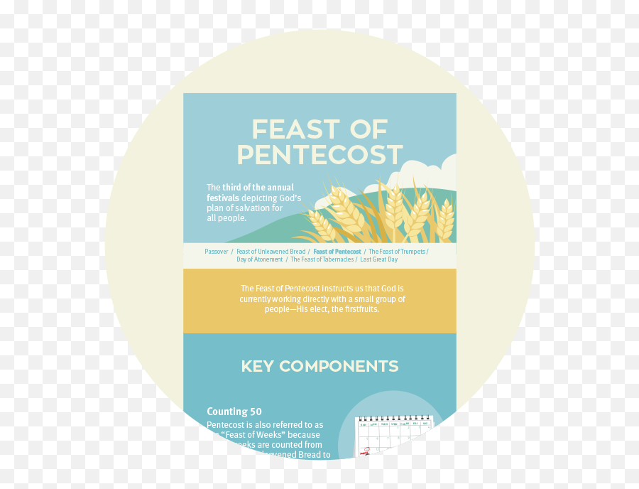 Infographic Pentecost - Life Hope U0026 Truth Vertical Png,Icon Of Pentecost