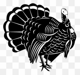 Png Image With Transparent Background - Turkey Vector