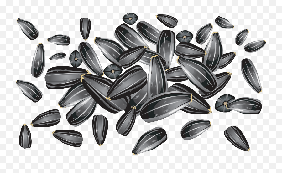 Download Sunflower Seeds Png Image For Free - Sunflower Seeds Free Vector,Seed Png
