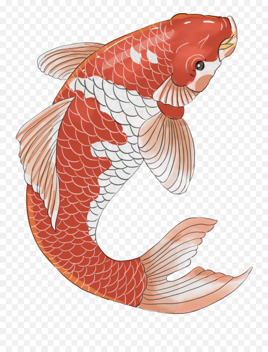 Chinese Style Hand Painted Festive Koi - Painting Fish In Chinese Style Png,Catfish Png