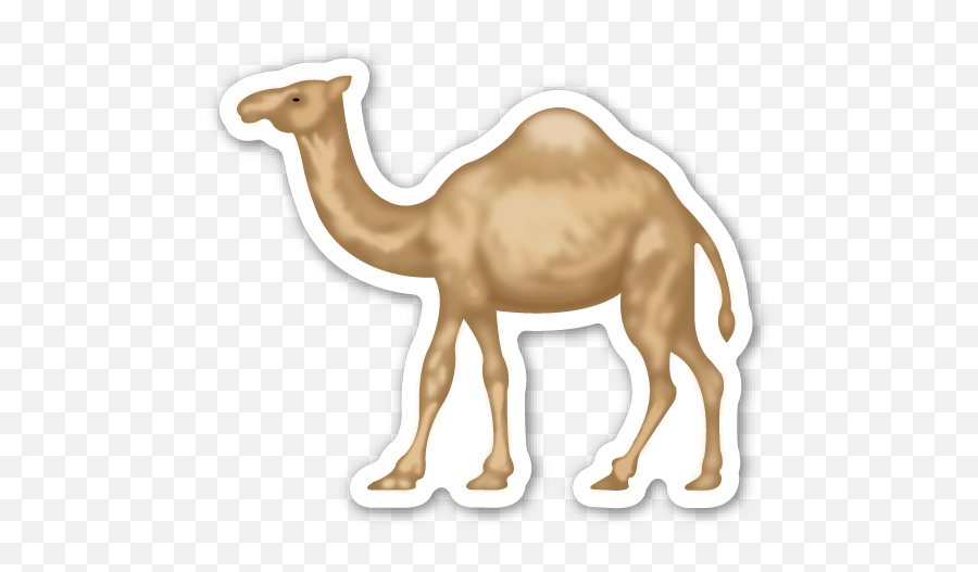 Pin - Animals Camel Emoji Sticker Png,Camel Png