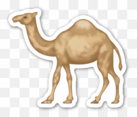 Pin - Animals Camel Emoji Sticker Png,Camel Png