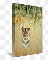 Tiger In The Long Grass By Alan Pickersgill - In The Long Grass png