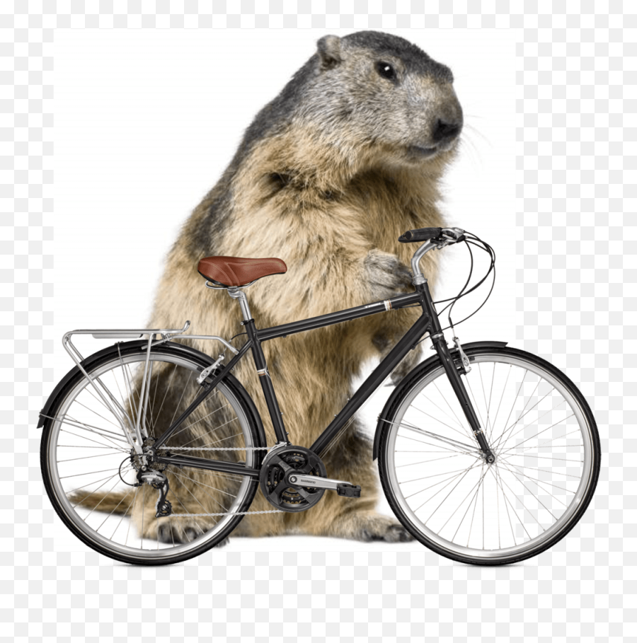 Groundhog Day Ride U2013 Bike Walk Wichita - Bike Cut Out Png,Groundhog Png