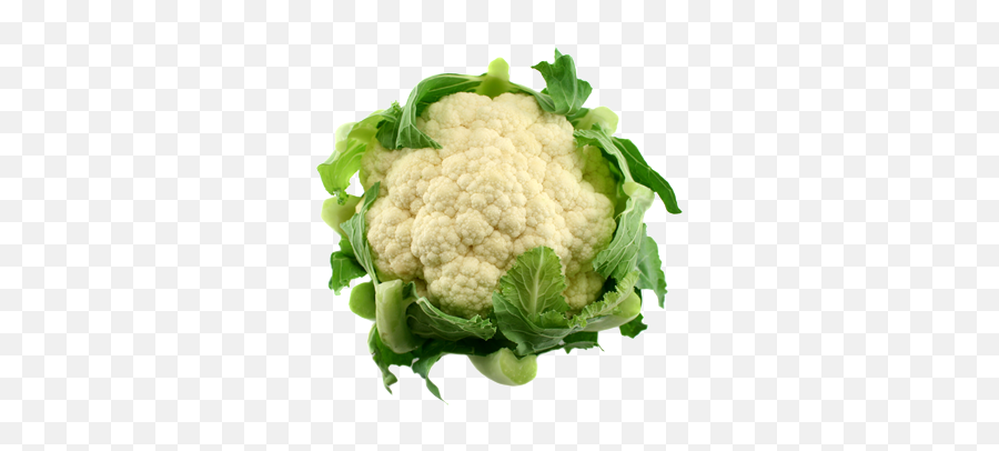 Cauliflower The Louis Bonduelle Foundation - Cauliflower Png,Cauliflower Png