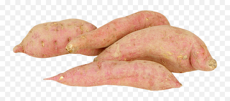 Sweet Potato Png Image - Sweet Potato Png,Potatoes Png