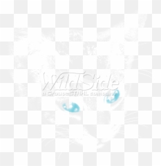 White Cat Blue Eyes - Domestic Cat Png,Cat Eyes Png