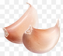 Download Vector Transparent Garlic Watercolor - Watercolor Painting Png,Garlic Transparent Background