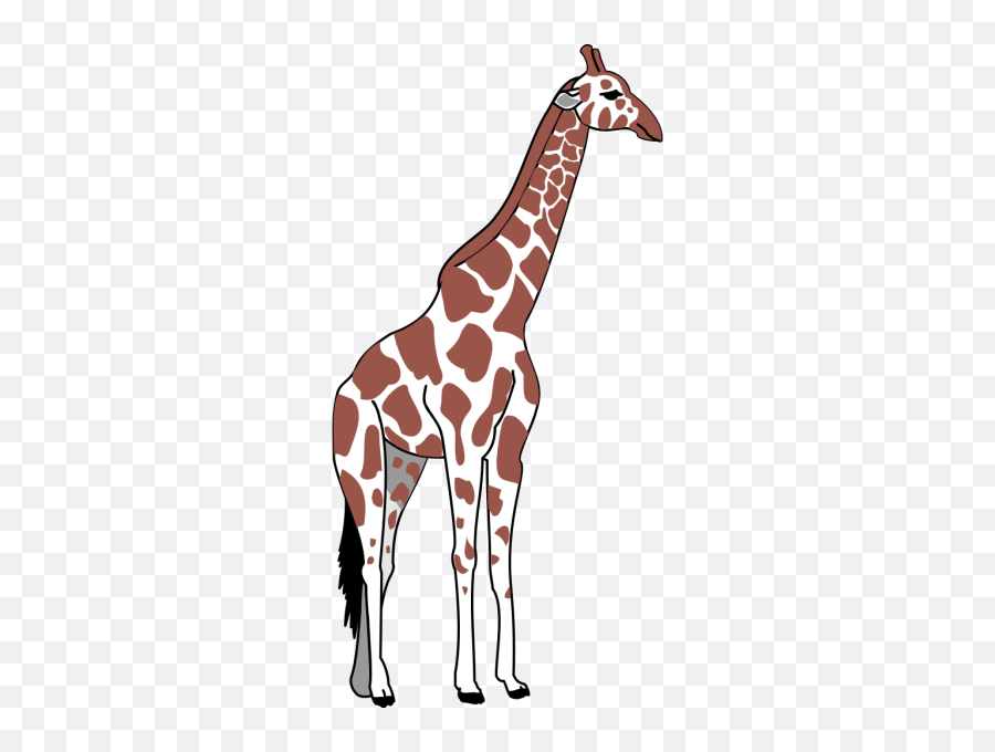 Giraffe Png Clip Arts For Web - Tall Animal Clip Art,Giraffe Png