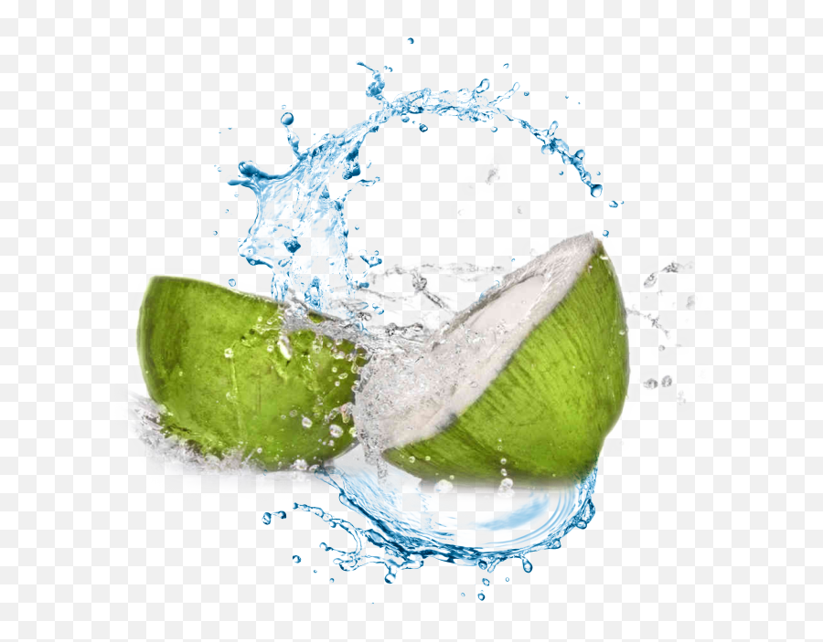 Download Coconut Water Transparent Background - Full Size Transparent Background Water Splash Png,Coconut Transparent