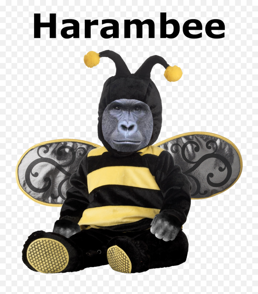 Harambism - Bee Costume For Baby Boy Png,Transparent Harambe