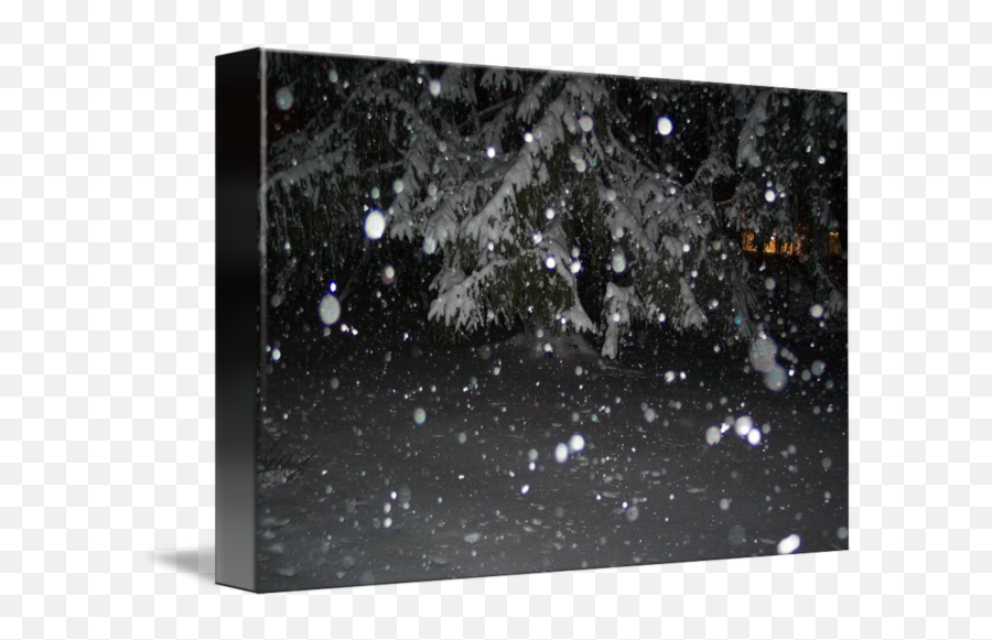 Snowing - Event Png,Snow Falling Transparent