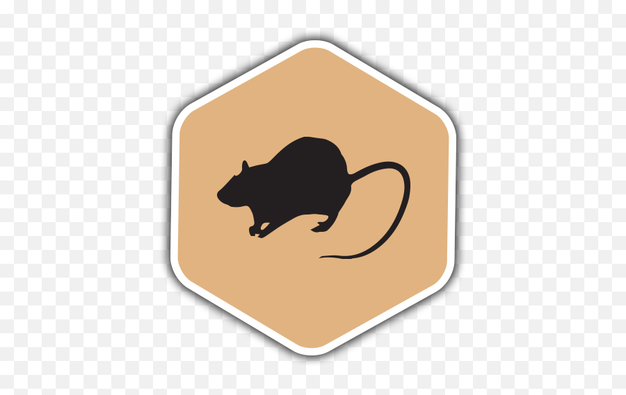 Preferred Pest Control Sa U2013 San Antoniou0027s - Black Rat Png,Mice Icon