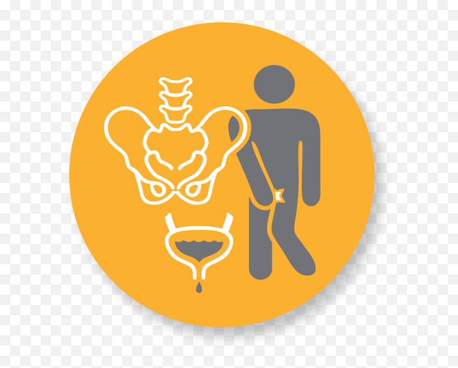Synergex Physical Therapy - Language Png,Physical Therapy Icon