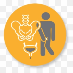 Synergex Physical Therapy - Language png