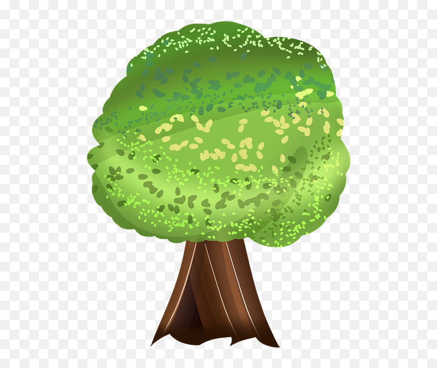 Tree Big Trees Forest - Illustration Png,Big Tree Png