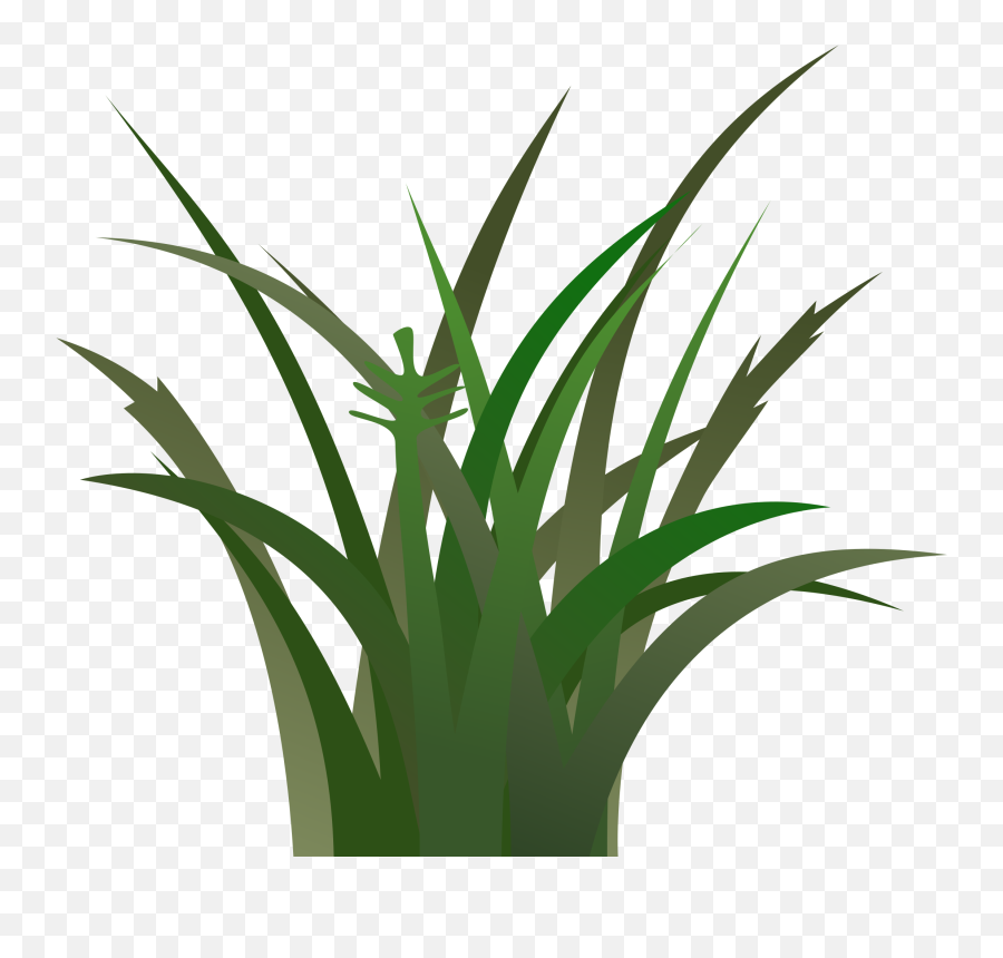 Download Cartoon Grass Texture - Tall Cartoon Grass Png,Grass Texture Png