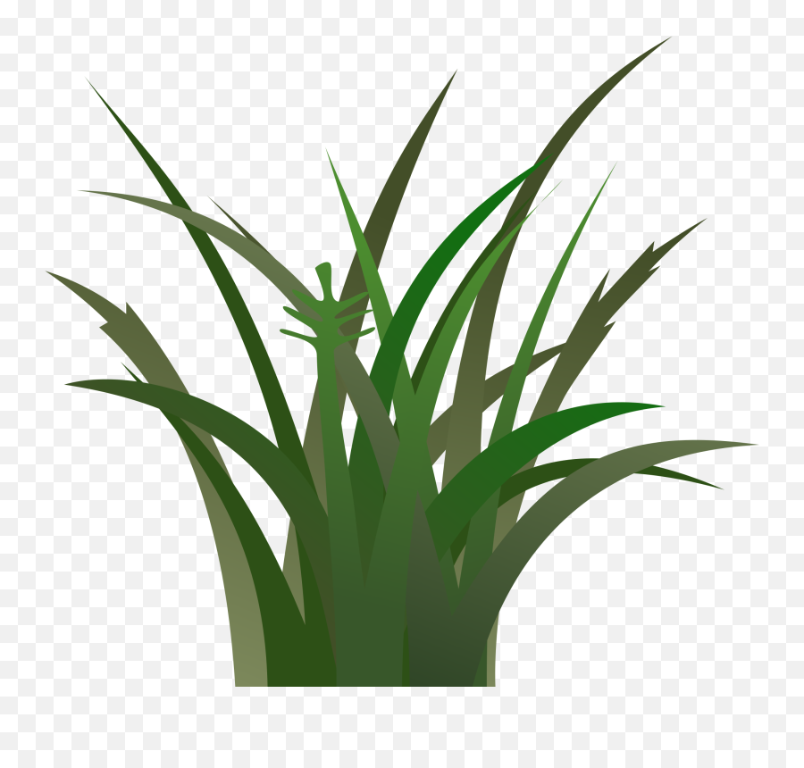 tall grass texture minecraft