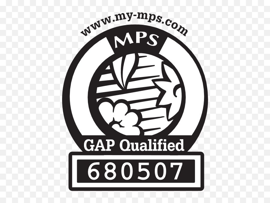 Mpsgap - Qualified Logo Download Logo Icon Png Svg Mps Certification,Qualified Icon