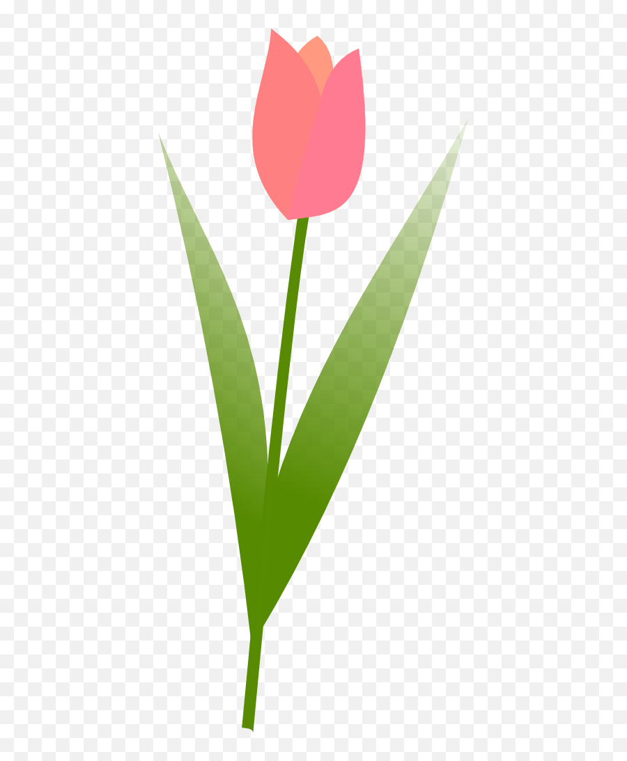 Tulip Images Clip Art - Clipartsco Tulipe Clipart Png,Tulips Icon