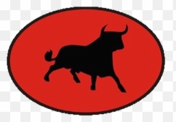 Bull Energy Services United States - San Lorenzo De Almagro png