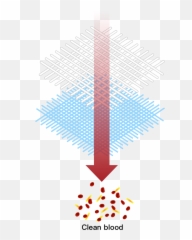 Purivet Small Animal Blood Purification Filter - Dot png
