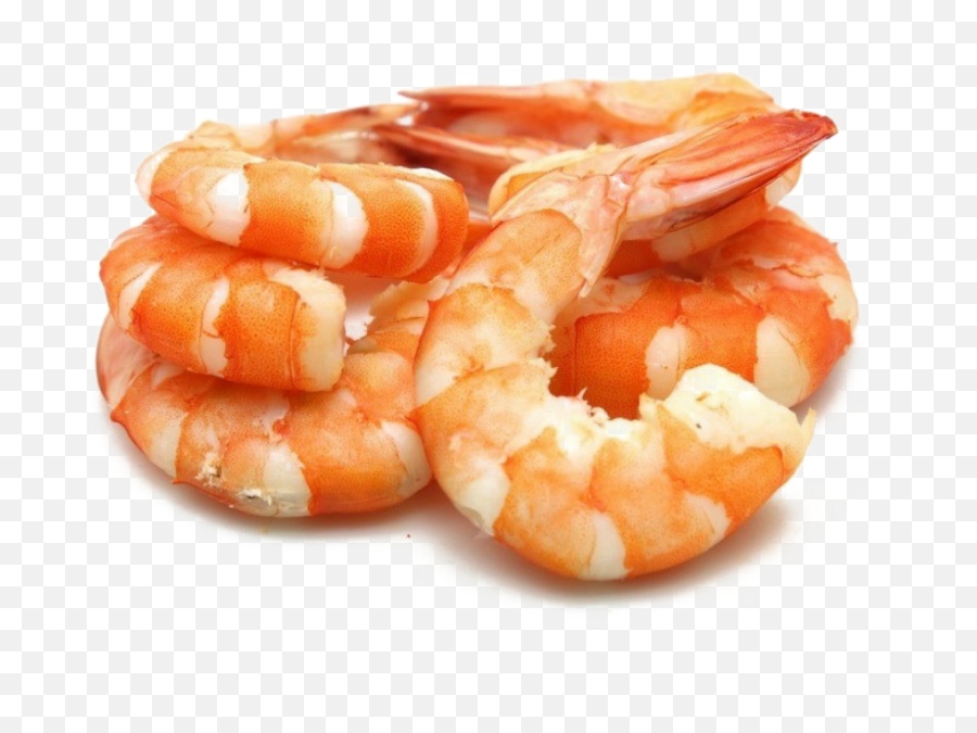 Shrimp Download Free Png - Shrimp Png,Shrimp Png