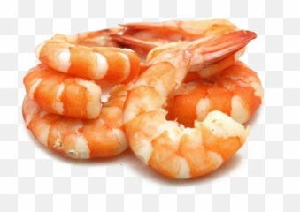Shrimp Download Free Png - Shrimp Png,Shrimp Png