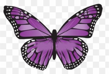 Mariposa Png 8 Image - Monarch Butterflies Clipart,Mariposa Png