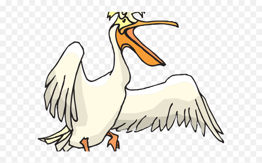 Download Pelican Clipart Transparent - Pelican Drawing Svg File Pelican Bird Svg Png,Pelican Png