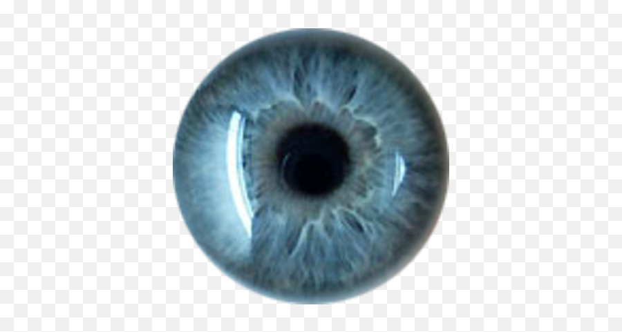 Eyes Transparent Images - Best Png For Editing,Eyes Transparent