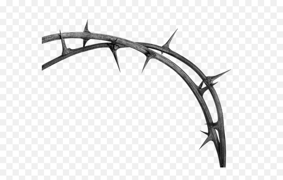 Warren Tellhouse - Melee Weapon Png,Thorns Png
