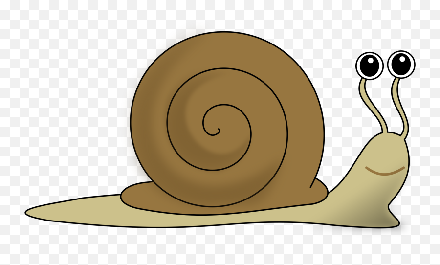 Library Of Snail Png Free Download - Clipart Snail,Snail Png