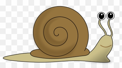 Library Of Snail Png Free Download - Clipart Snail,Snail Png