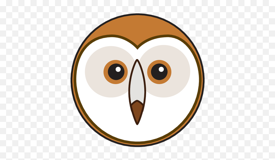 Animaru - Cartoon Owl Face Png,Barn Owl Png
